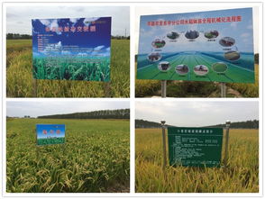 技術(shù)推廣服務(wù)中心 推動創(chuàng)新成果轉(zhuǎn)化的橋梁