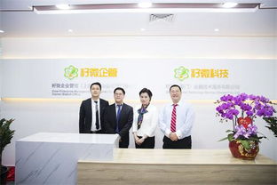 籽微企管廈門分公司成立，以專業網站建設服務助力福建中小微企業成長